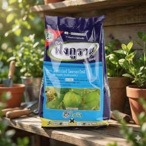 โรคแคงเกอร์